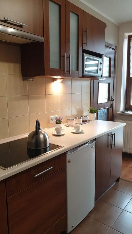 Kaizen Apartament Krynica Zdroj Bagian luar foto